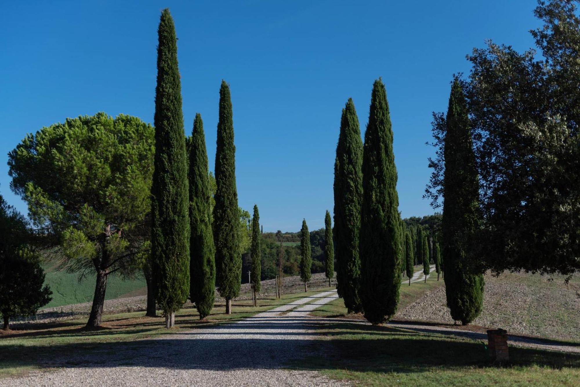 Villa Cucule Siena Exterior photo